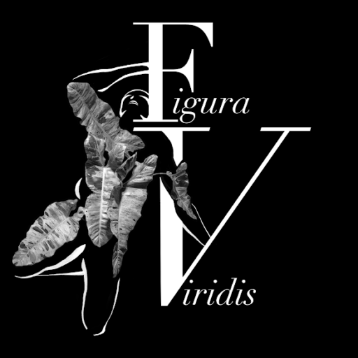 Viridis-Figur